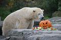 2015-10-22 06-26-39bJPG